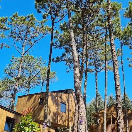 Resort Bukubaki Eco Surf Ferrel (Leiria)