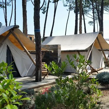 Bukubaki Eco Surf 4*