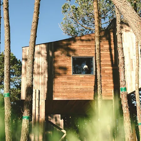 Bukubaki Eco Surf Feriested 4*