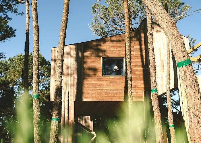 Bukubaki Eco Surf Feriested 4*