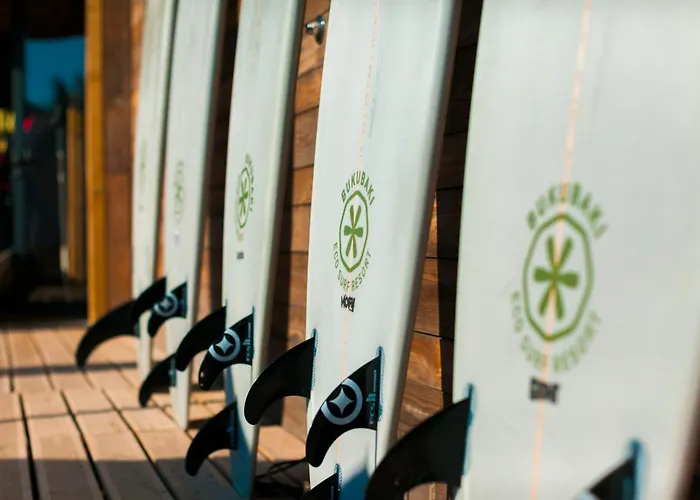 Bukubaki Eco Surf Feriested