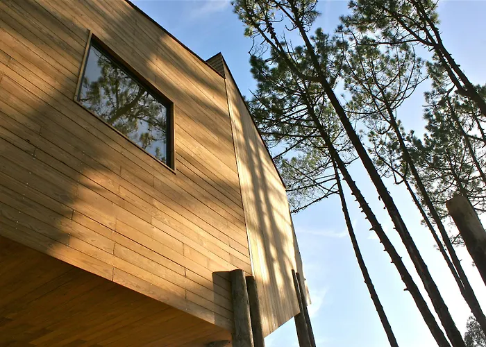 Bukubaki Eco Surf Ferrel (Leiria)